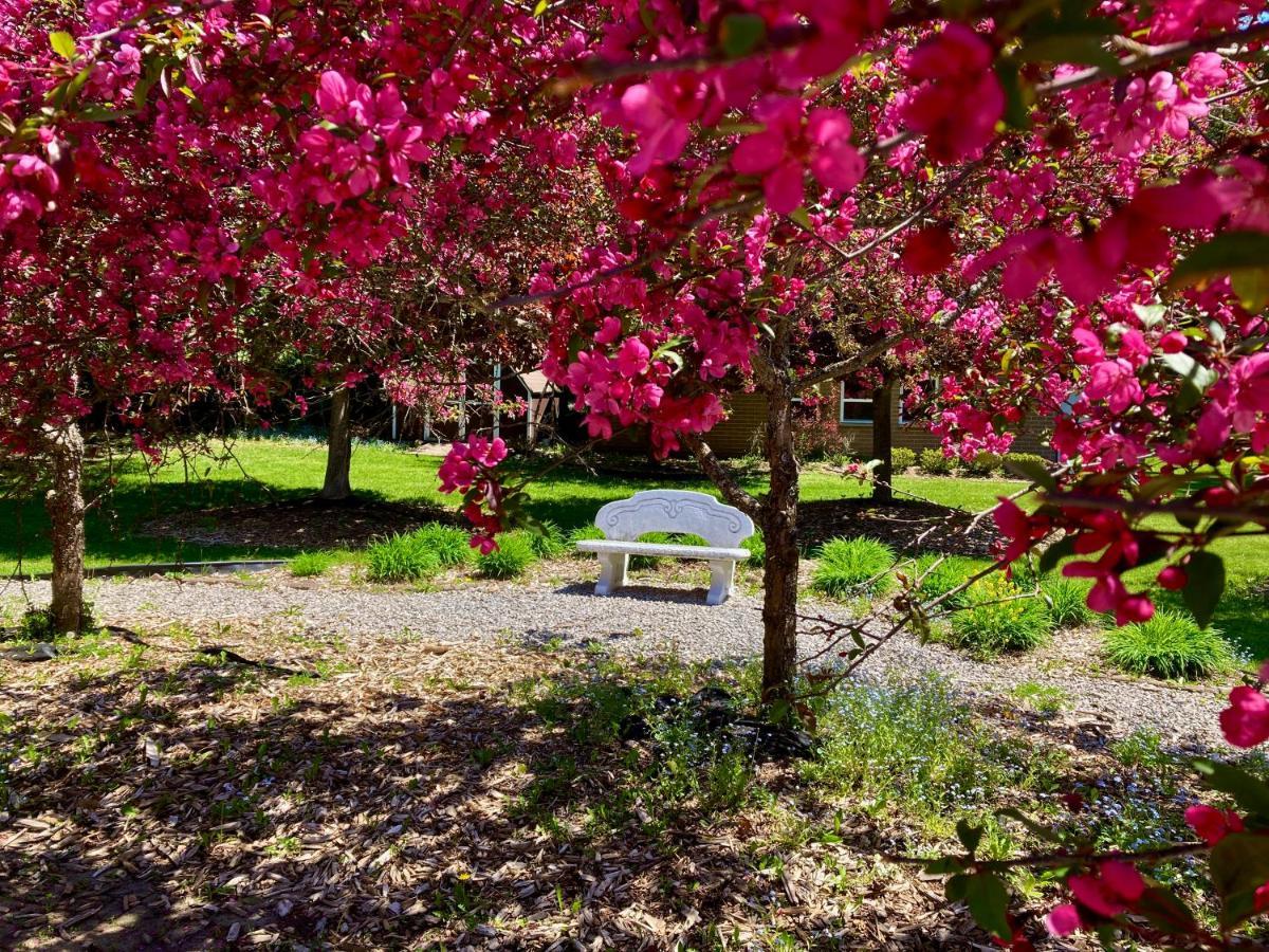 Garden Grove Retreat & Lodging Near Pictured Rocks, Fayette, Trails Exterior foto